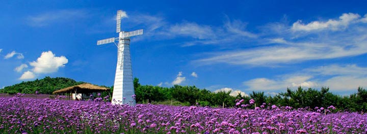 鄉(xiāng)村旅游規(guī)劃院:藍調(diào)薰衣草莊園旅游規(guī)劃鳥瞰圖