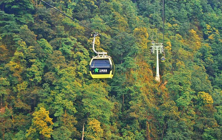 山地旅游策劃公司:山腰茂密的植被