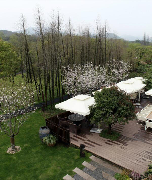 鄉(xiāng)村旅游規(guī)劃設(shè)計公司:熱土養(yǎng)生莊園旅游規(guī)劃之水杉林蔭道