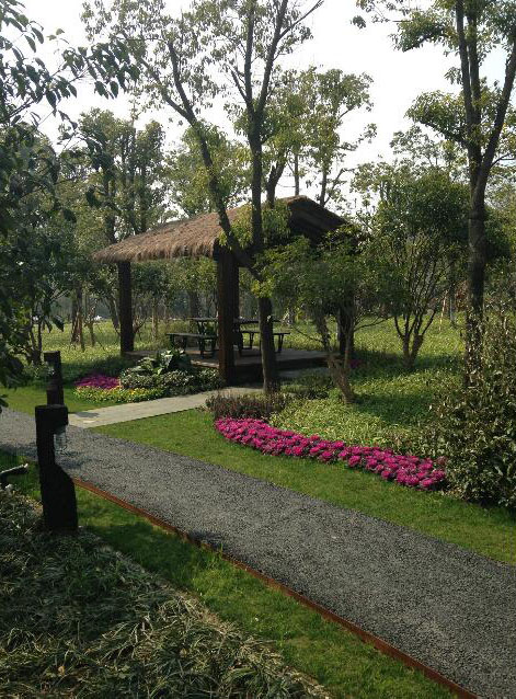 鄉(xiāng)村旅游規(guī)劃設(shè)計公司:熱土養(yǎng)生莊園旅游規(guī)劃之茅草亭