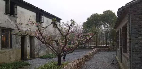 鄉(xiāng)村旅游規(guī)劃公司:田園東方建筑旅游規(guī)劃主張修舊如舊