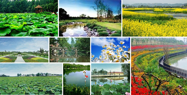 鄉(xiāng)村旅游策劃公司:三圣花鄉(xiāng)旅游規(guī)劃建設(shè)情況良好