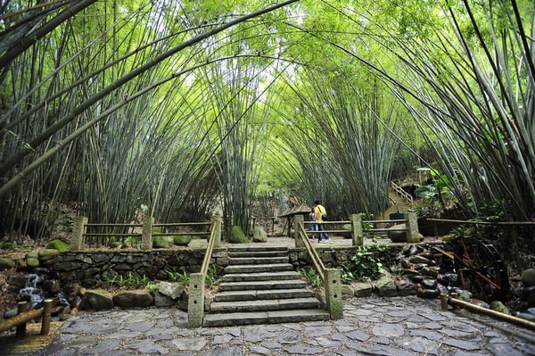 山地旅游規(guī)劃院:深圳東部華僑城因地制宜旅游規(guī)劃的竹樂谷