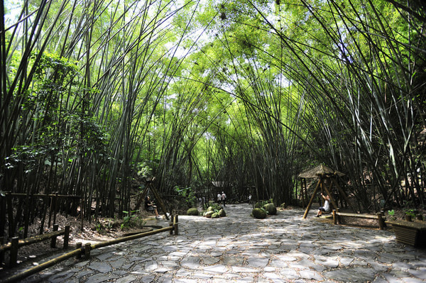 山地旅游規(guī)劃院:深圳東部華僑城竹樂谷因地制宜進行旅游規(guī)劃