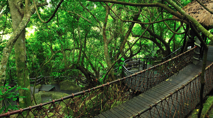景區(qū)旅游規(guī)劃設(shè)計公司:海南呀諾達雨林文化旅游區(qū)十分注重生態(tài)旅游規(guī)劃