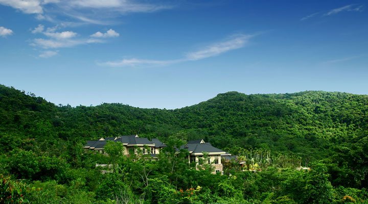 景區(qū)旅游規(guī)劃設(shè)計公司:呀諾達雨林一號度假酒店建筑旅游規(guī)劃與熱帶雨林完美融合