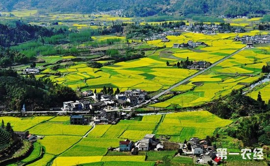 農(nóng)業(yè)部發(fā)文促鄉(xiāng)村旅游發(fā)展 鼓勵PPP模式